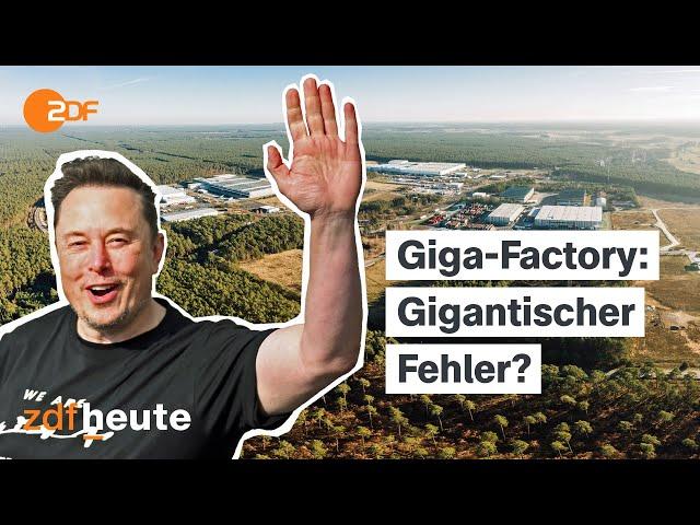 Was wird aus der Tesla-Fabrik in Brandenburg? Reportage über Elon Musks Giga-Factory