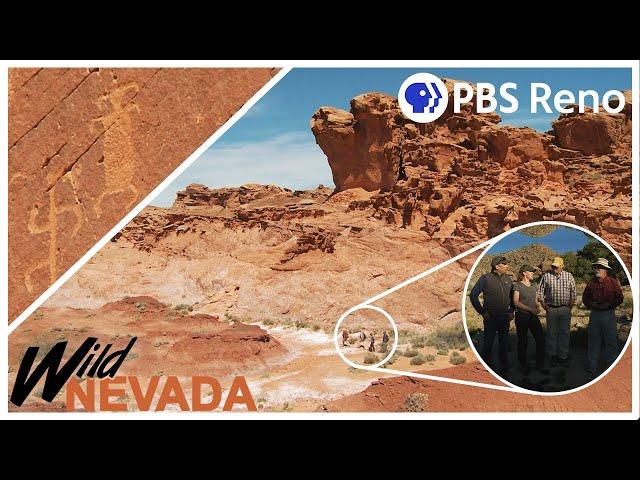 Exploring Gold Butte | Wild Nevada