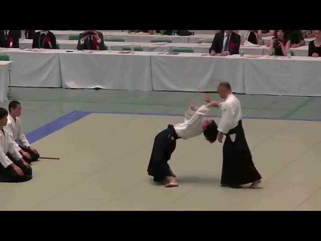 Mysterious Aikido in Japan