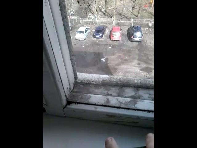 Сундук знаний.