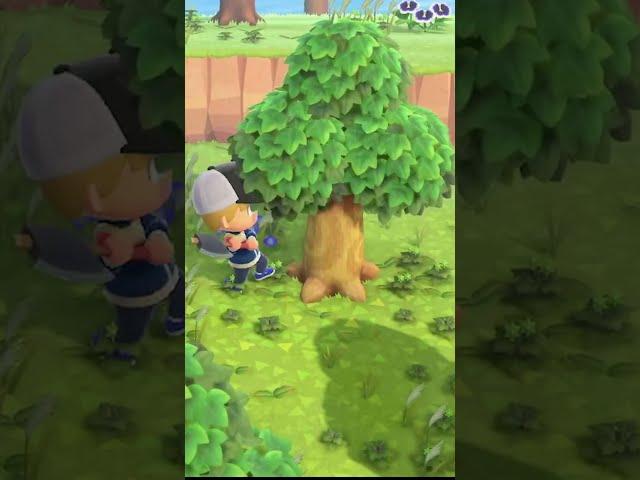 I Already Suck At This Game | Animal Crossing New Horizons #shorts