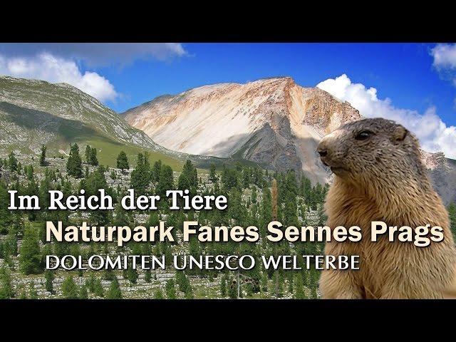 Naturpark Fanes Sennes Prags - geosfilm