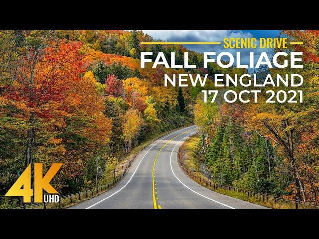 Beautiful New England's Fall Foliage Season - Scenic Roads of New Hampshire (4K 60fps)