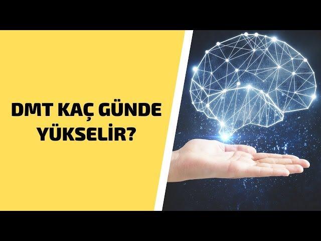 Üzerlik DMT Hormonunu Kaç Günde Yükselir? DMT Hormonu Nasıl Arttırılır?