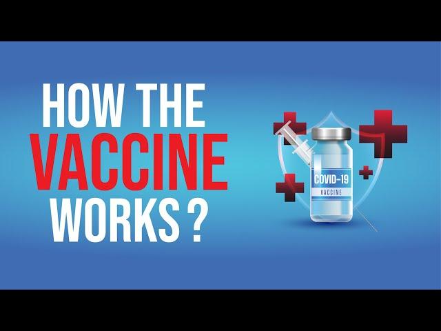 How the vaccine works? (Multimedia Project KPTM Ipoh)