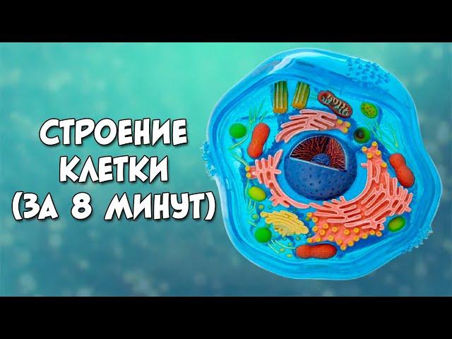 Строение клетки за 8 минут (даже меньше)