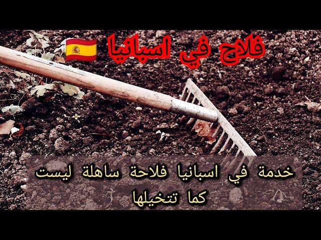 فلاح في اسبانيا / خدمة في اسبانيا فلاحة ليست كما تتخيلها