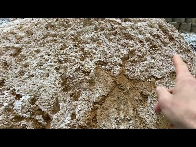 Как содержать мясной скот