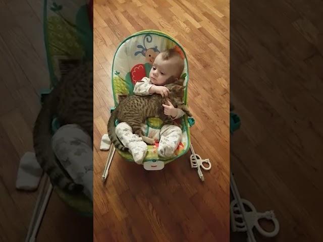 Baby loves his kitten 'best friend'