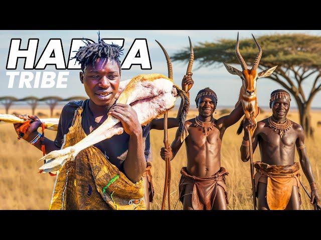 Cultural Culinary Adventures | The Hadzabe’s Porcupine Cooking Rituals | A Wild Taste  Compilation