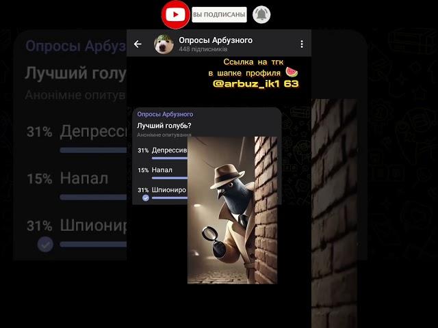 Лучший голубь? #рекомендации #арбузный #голубь