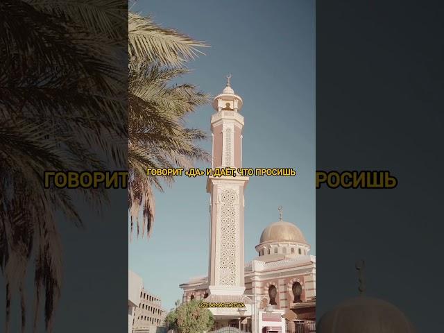 ждите #ислам #молитва #жизнь #успех #мудрыеслова #кавказ #аллах #мотивация #дисциплина #цитаты #алла