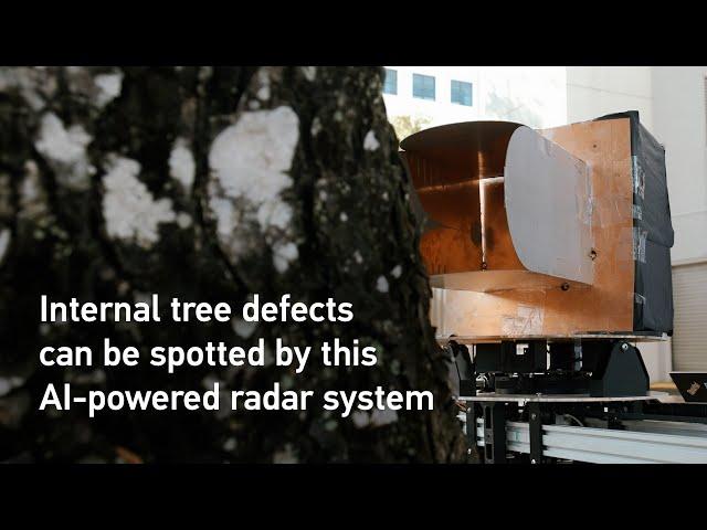 Finding defects in trees in just minutes with the power of #AI