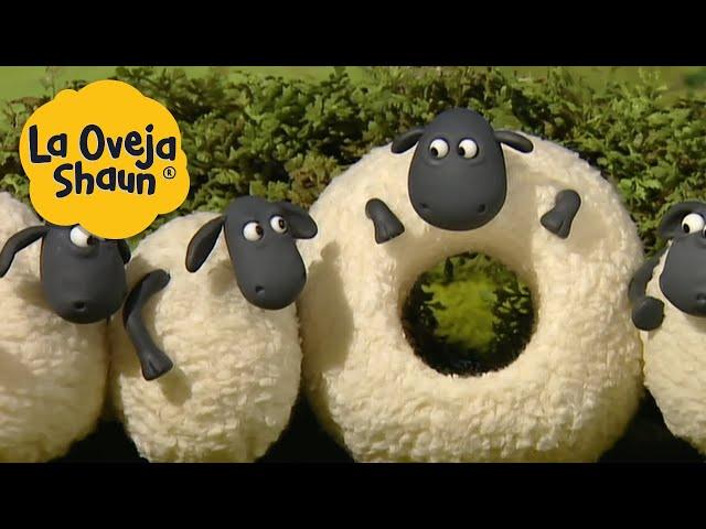 La Oveja Shaun  Ovejas y cabras  Dibujos animados para niños