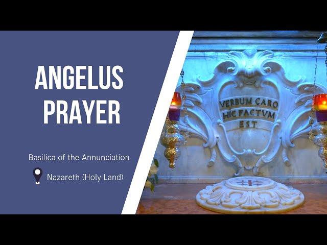 Angelus Prayer at the Basilica of the Annunciation | November 16, 2024