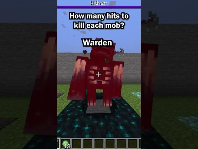 How many hits to kill?  | Minecraft #shorts