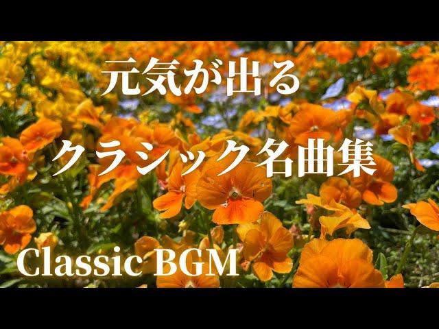 【名曲クラシック】元気が出る明るいクラシック曲集 テンションアップにも デュラン、ハイドン、ヨハン・シュトラウス 他 作業用BGM classic BGM