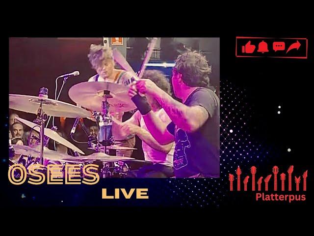 Osees - Tidal Wave (Live in Adelaide March 2025)