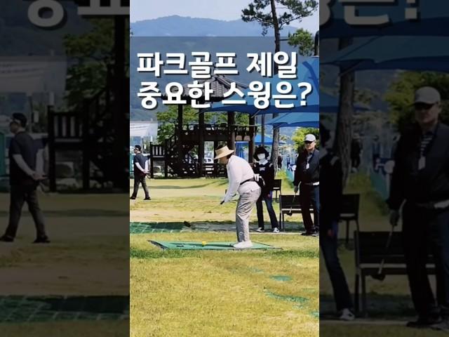 제일 중요한 스윙은? 파크골프 티샷, 페어웨이샷, 퍼팅!