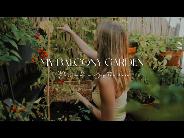 Creating a Balcony Garden