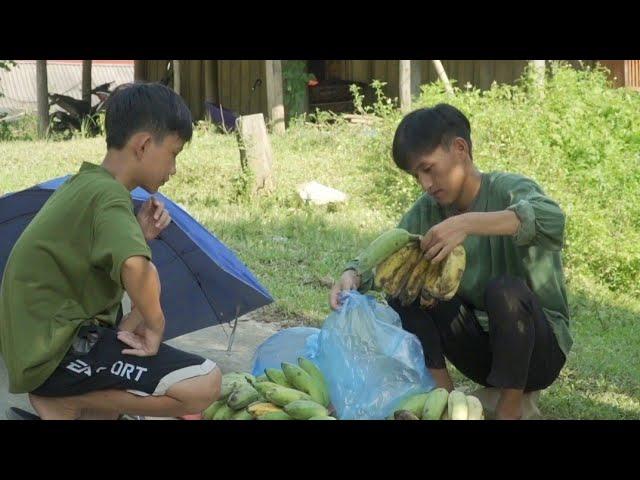 Harvesting bananas to sell - There is news about mother