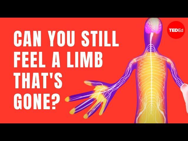 Can you still feel a limb that's gone? - Joshua W. Pate