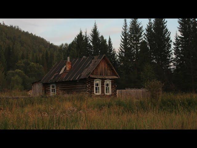 Жизнь Семьи Отшельников. Рыбалка на Ручье. Тайга Кормит. Боровики и Черника.