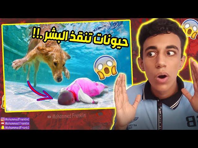 حيوانات انقذت حياة البشر من الموت مقاطع لا تصدق ..! سبحان الله #الجزء الثاني )