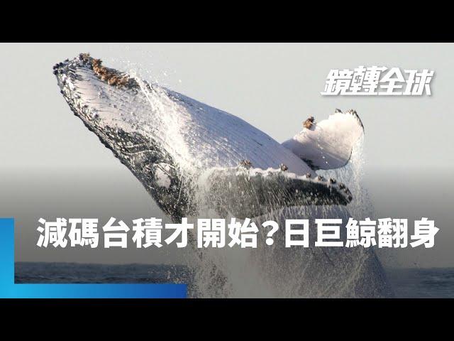 日本GPIF減持台積電　這檔全球數一數二的退休金基金　準備將焦點從海外轉回日本　可能成為日股新一波助力　也為日圓帶來支撐力量｜鏡轉全球 #鏡新聞