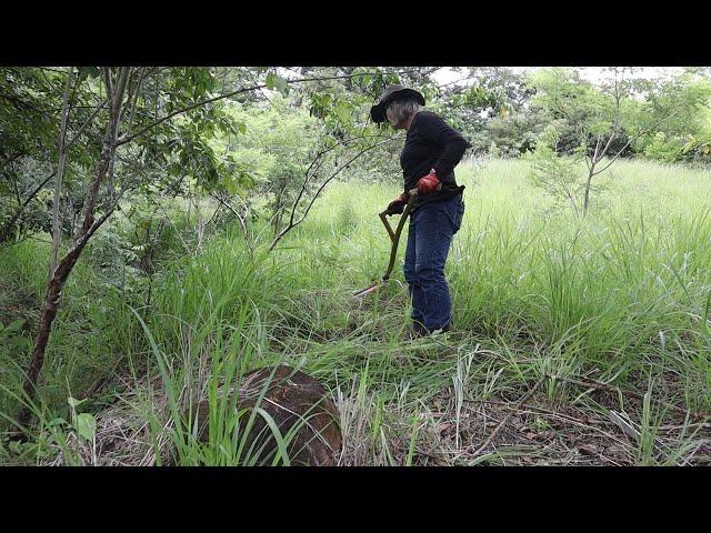 Scything Boundaries for a THRIVING Sheep Paddock