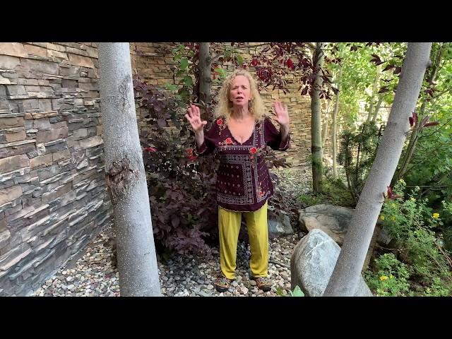 Eden Energy Medicine for Detoxing Your Liver with Donna Eden!