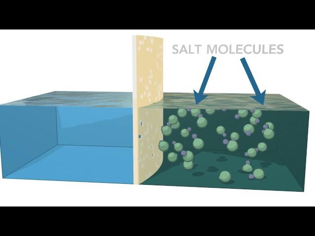 Reverse Osmosis Process