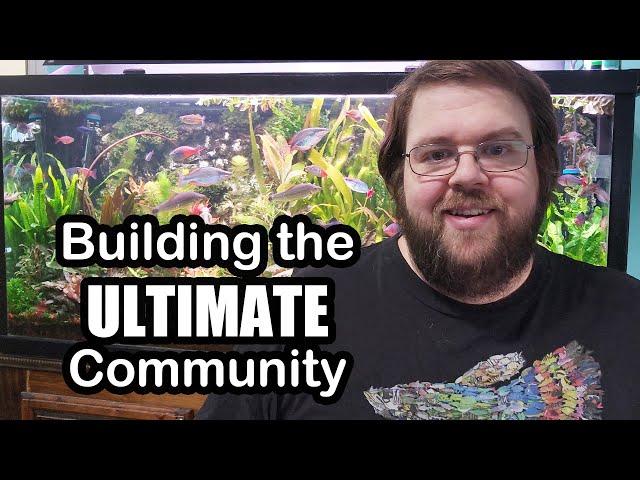 Building a Perfect Community Fish Tank: from Disaster to Pure Joy (90 Gallon aquarium Tour)