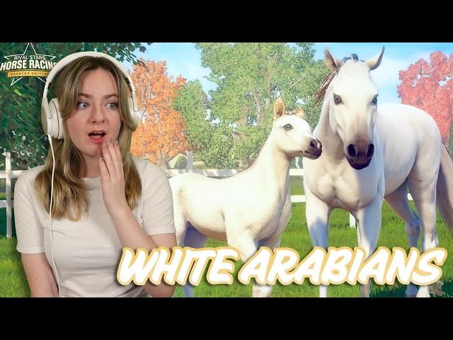 PURE WHITE ARABIAN HORSE BREEDING - Rival Stars Horse Racing | Pinehaven