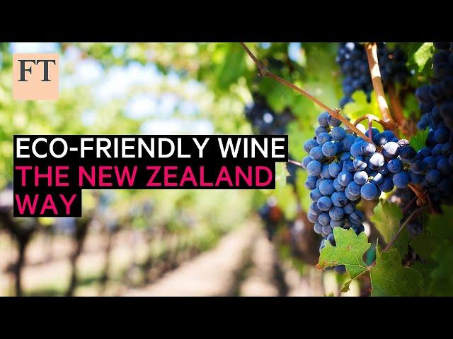 Eco-friendly vineyards, the New Zealand way | FT Food Revolution