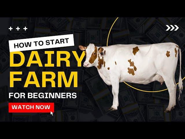 How to Start Dairy Farming for Beginner | Cow Farming Guide - Everything You Need to Know