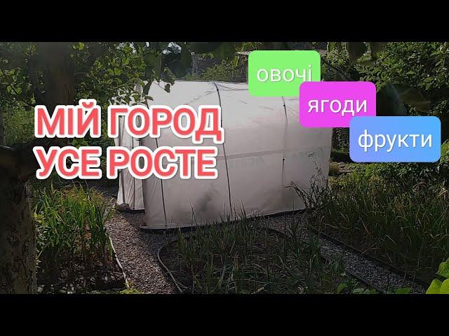 Мій ГОРОД усе росте