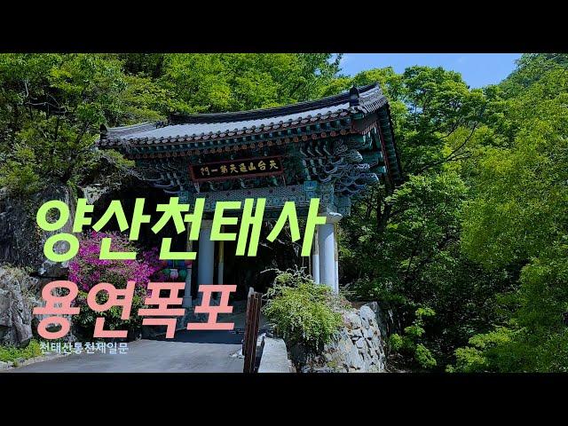 #천태사 & 용연폭포 가는길 2부/ #양산천태사 / 힐링