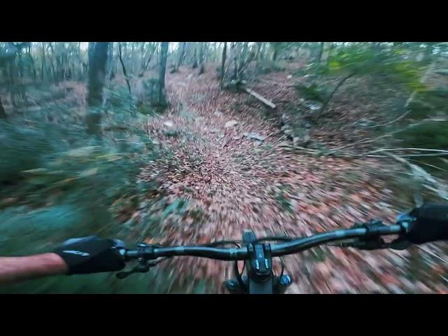 Legacy Loop Update #hsvmtb #downhillmtb #landtrustNA