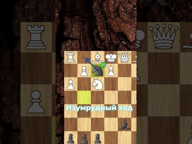 ПРЕКРАТИ на d4 ИГРАТЬ d5!!