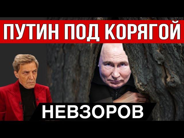 Стереомаразм. Кто такой Овечкин. Иноагентом может стать любой. Орки, Картаполов,  Шабаш и пошлины