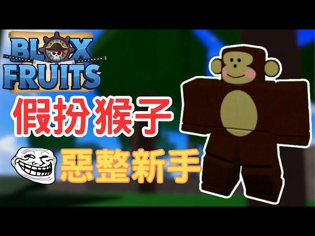 【Blox Fruit方塊水果】在遊戲中假扮猴子NPC!新手會有什麼反應？