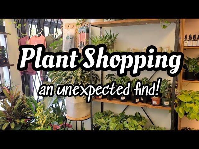 Unexpected Plant Shopping in Chattanooga, Tennessee!!  we stumbled upon The Secret Garden 