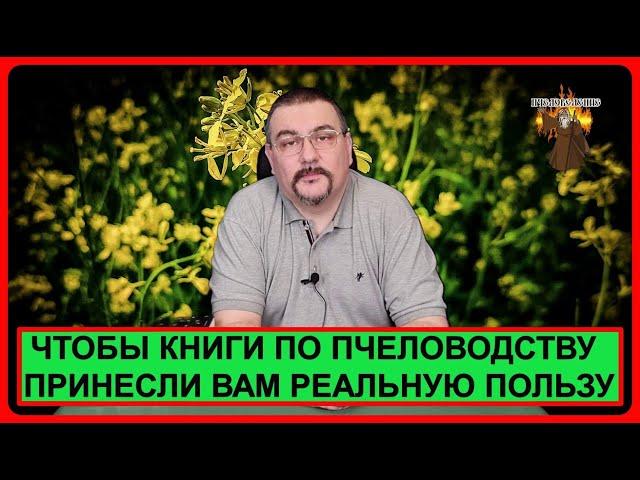  Как правильно читать книги по пчеловодству. Подсказки начинающим пчеловодам 