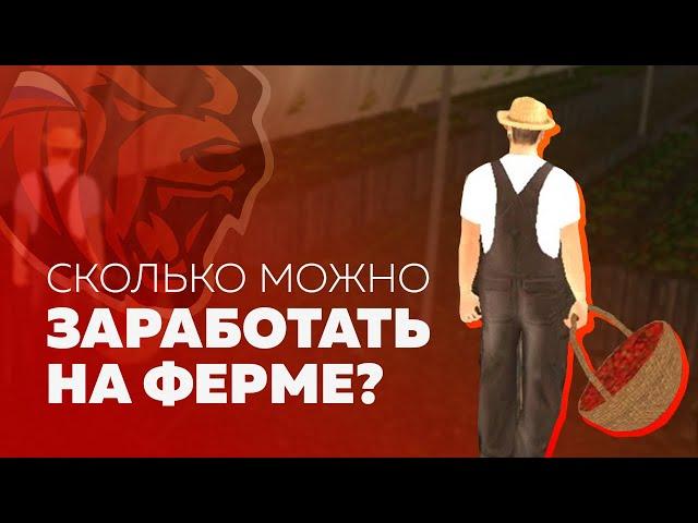 СКОЛЬКО МОЖНО ЗАРАБОТАТЬ НА ФЕРМЕ BLACK RUSSIA CRMP