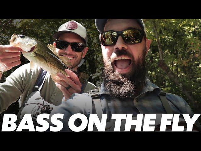 Catching Bass on the Fly (What Flies work best for BASS?)