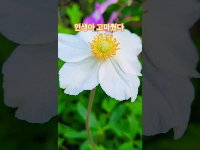 #고마운#인생#🫠🫠🫠