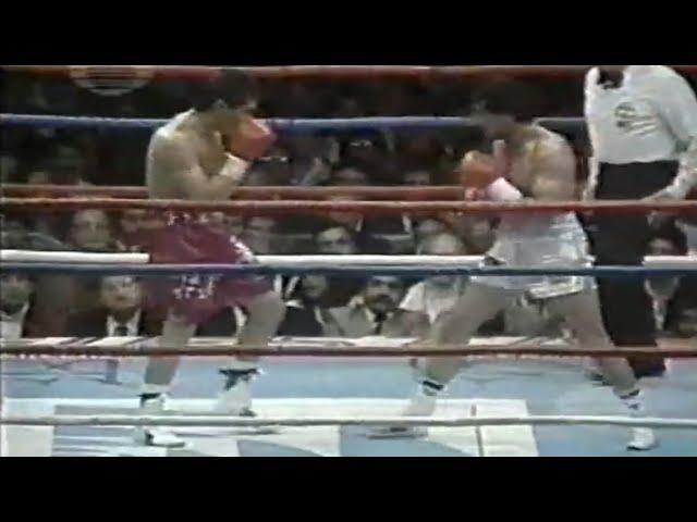 WOW!! WHAT A KNOCKOUT - Julio Cesar Chavez vs Alberto Cortes, Full HD Highlights