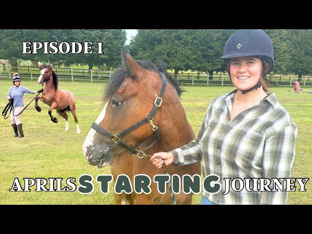 YOUNG HORSE SERIES // Watch me slowly back my 3 year old // EP1