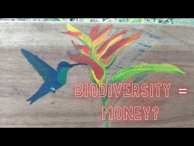 The Business of Biodiversity:  Best way to make money FAST with permaculture!